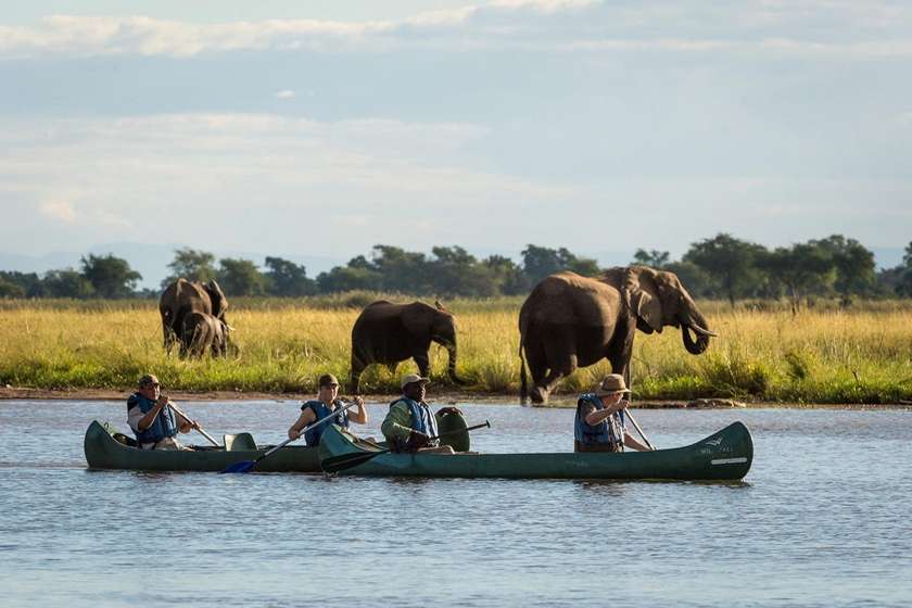 Ruckomechi Camp Zimbabwe – när elefanterna själva får bestämma