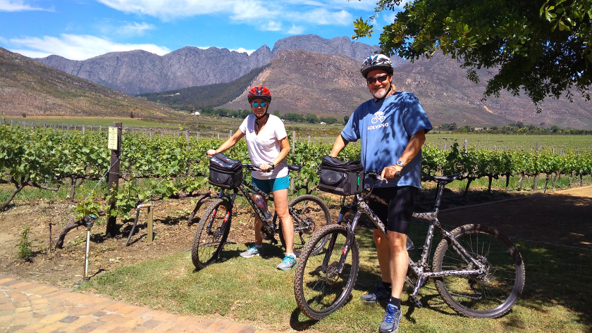 Cykla bland vingårdar i Garden Route