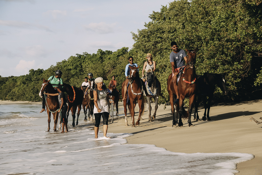 Tobago hästridning