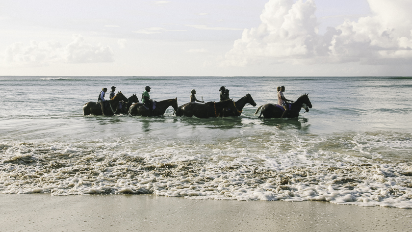 Saker att göra på Tobago, simma med hästar