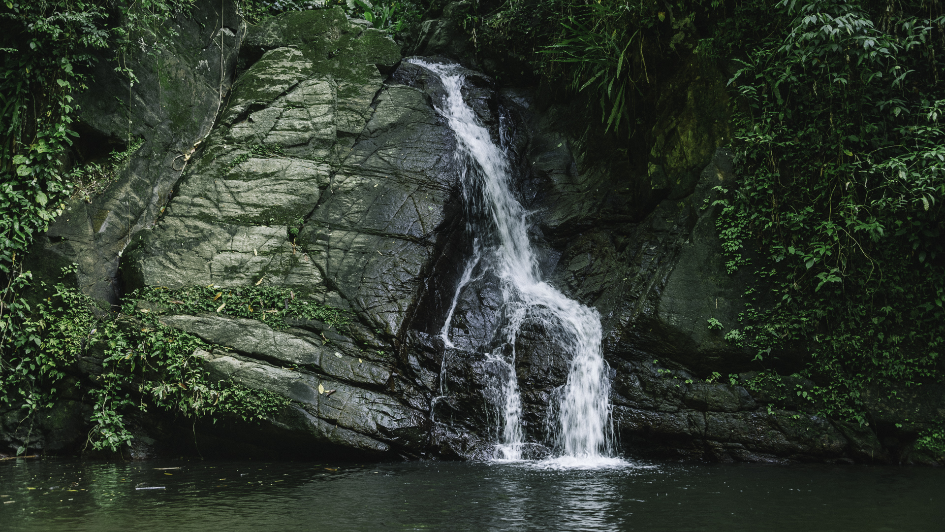 Tobago utflykter, saker att göra, Castara Waterfall