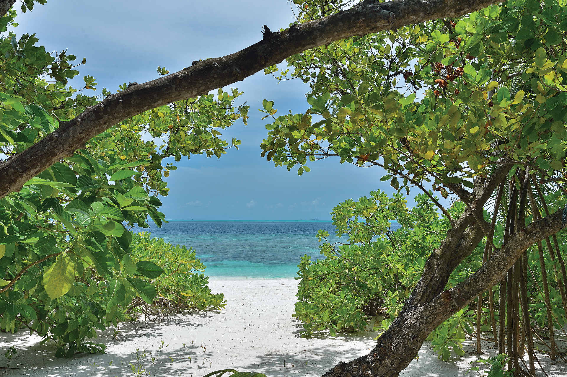 Ailafushi – paradiset ovan och under Maldivernas vattenyta